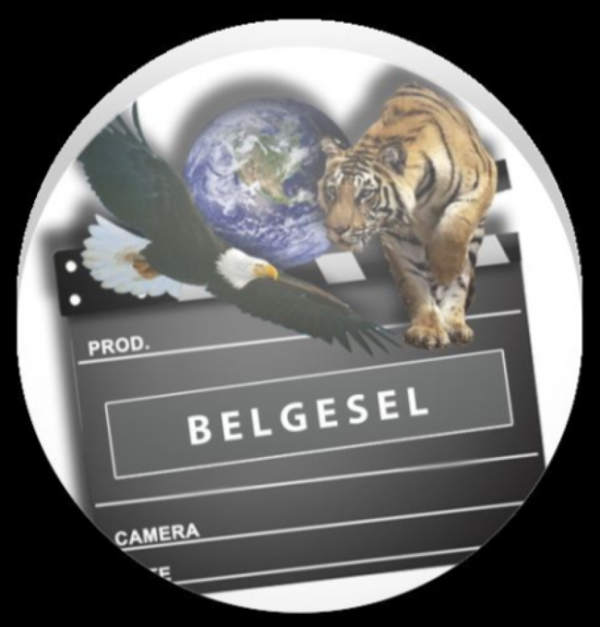 Belgesel